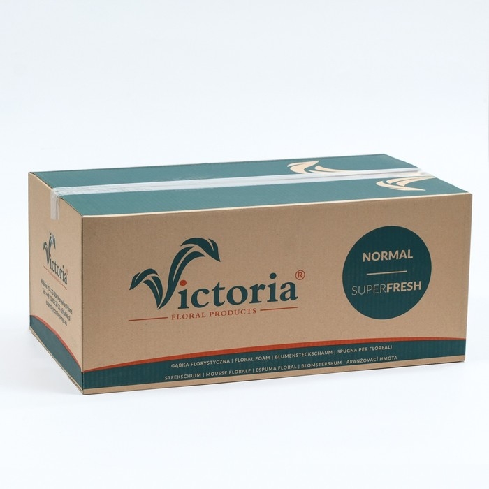 Губка флористическая Губка флористическая "Виктория" кирпич, 23 х 11 х 8 см, набор 2 шт