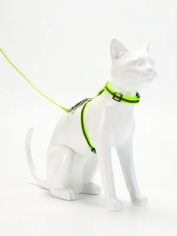 Комплект для кошек светоотражающий, ширина 1 см, шлейка 21-35 см, поводок 120 см, зелёный