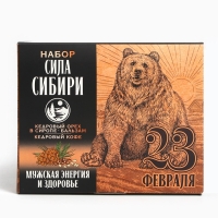 Набор «Сила Сибири»: кедровый орех в сосновом сиропе 25 г., бальзам 100 мл., кедрокофе 50 г.