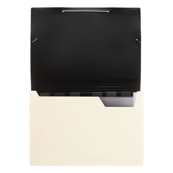 Папка картотека А4, Calligrata TOP DeLuxe, 13 отделений, пластиковая, 1000 мкм, молочная Папка картотека А4, Calligrata TOP DeLuxe, 13 отделений, пластиковая, 1000 мкм, молочная