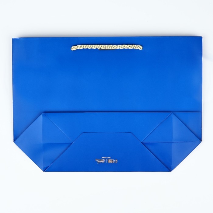 Пакет подарочный новогодний «Благополучия в Новом году», 19 х 20 х 9 см, Новый год Пакет подарочный новогодний «Благополучия в Новом году», 19 х 20 х 9 см, Новый год