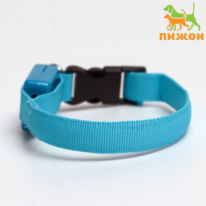 Ошейник светящийся узкий для небольших собак, 26 х 1,5 см, голубой Ошейник светящийся узкий для небольших собак, 26 х 1,5 см, голубой