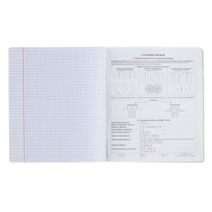 Тетрадь предметная ИНФОРМАТИКА, 48 листов в клетку, ErichKrause Manga, обложка мелованный картон, твин-лак, блок офсет 100% белизна, инфо-блок