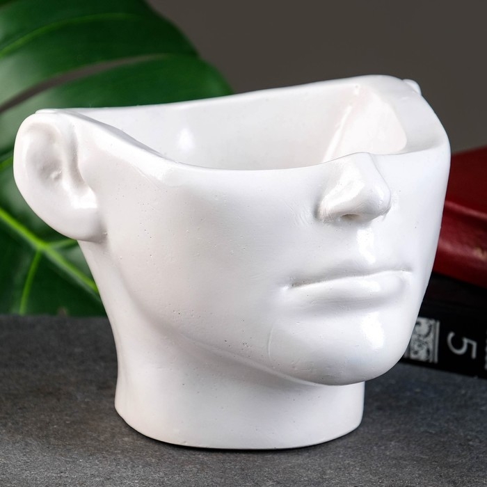 Кашпо - органайзер  Кашпо - органайзер "Эмили" белое, 13х18х16см