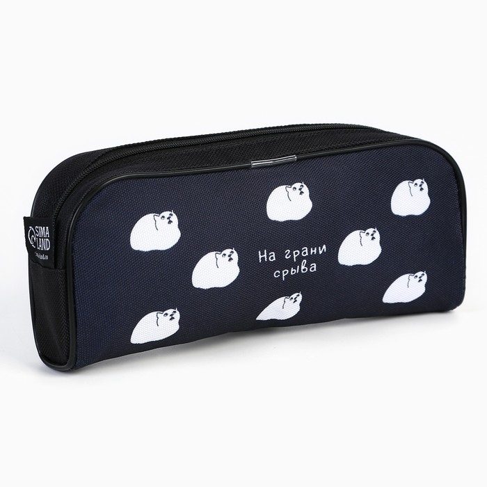 Пенал школьный текстильный &laquo;1 сентября: На грани срыва&raquo; Кот, 20 х 8 х 4 см