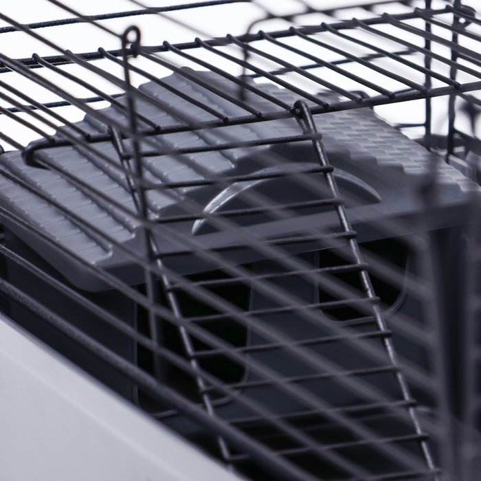 Клетка-мини для грызунов Клетка-мини для грызунов "Пижон" №2, укомплектованная, 27 х 15 х 16 см, серая