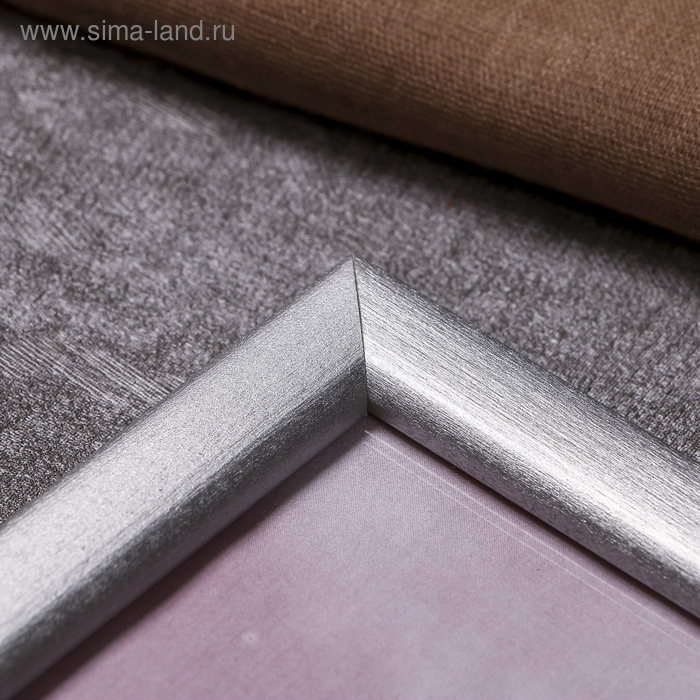 Фоторамка сосна с19 серебро 24х30 см (пластиковый экран) Фоторамка сосна с19 серебро 24х30 см (пластиковый экран)