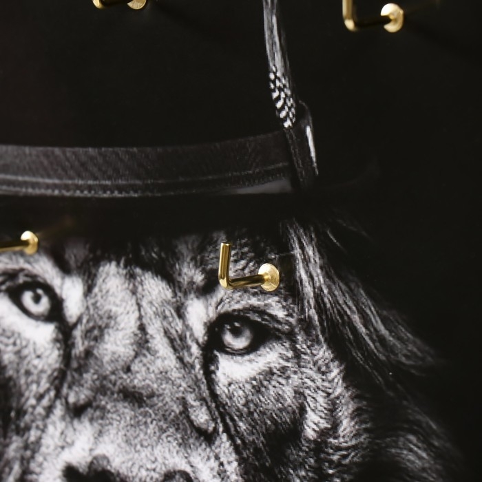 Ключница открытая Ключница открытая "Лев" 5 крючков, 23х32 см