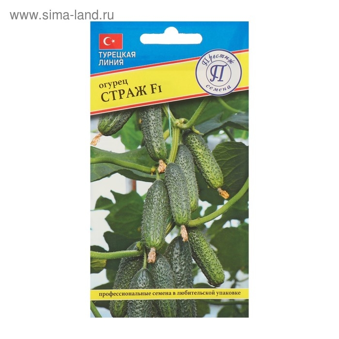 Семена Огурец "Страж" F1, 5 шт