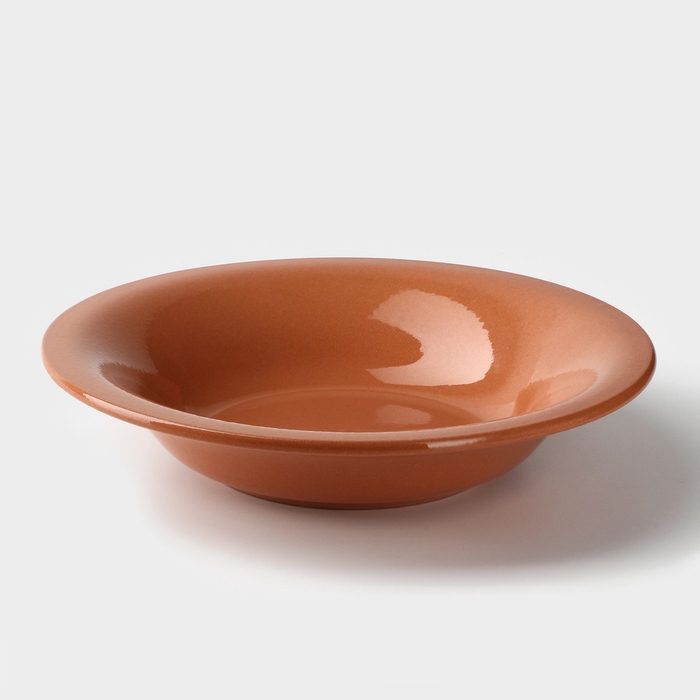 Тарелка суповая, 500 мл, d=22 см, h=4,5 см Тарелка суповая, 500 мл, d=22 см, h=4,5 см