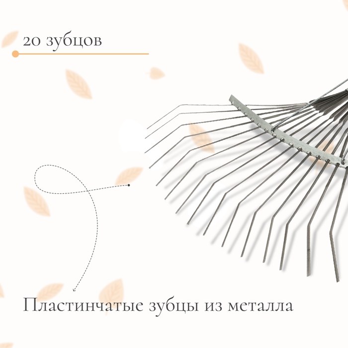 Грабли веерные пластинчатые, 20 зубцов, оцинкованные, тулейка 25 мм, без черенка