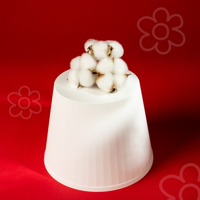 Сухие цветы хлопка, набор 3 шт., размер 1 шт. 6 × 6 см, цвет белый Сухие цветы хлопка, набор 3 шт., размер 1 шт. 6 × 6 см, цвет белый