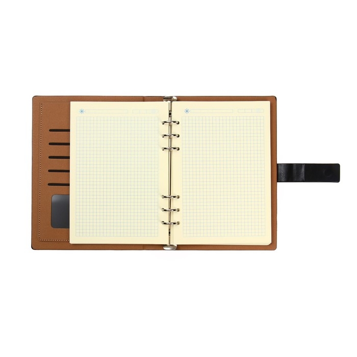 Органайзер на кольцах, обложка ПВХ, А5, 140 листов в клетку, с хлястиком, МИКС Органайзер на кольцах, обложка ПВХ, А5, 140 листов в клетку, с хлястиком, МИКС