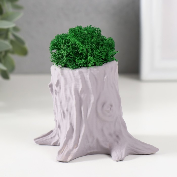 Кашпо бетонное Кашпо бетонное "Пенек" 7,5х8,5х7 см серый со мхом (мох зеленый стабилизированный)