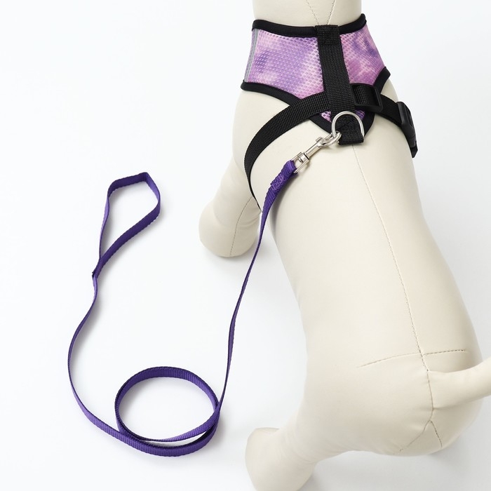 Комплект для собак 3-5 кг, размер S, поводок 120 х 1,5 см, ОШ 24 см, ОГ 34 см Комплект для собак 3-5 кг, размер S, поводок 120 х 1,5 см, ОШ 24 см, ОГ 34 см