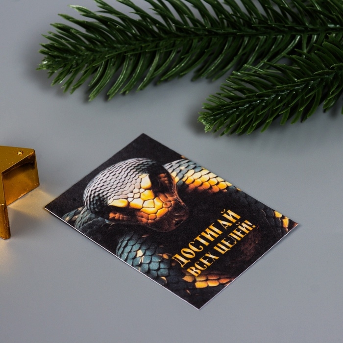 Набор открыток с семенами  Набор открыток с семенами "Вырасти сам" "Чувства" 5*7см 3 шт