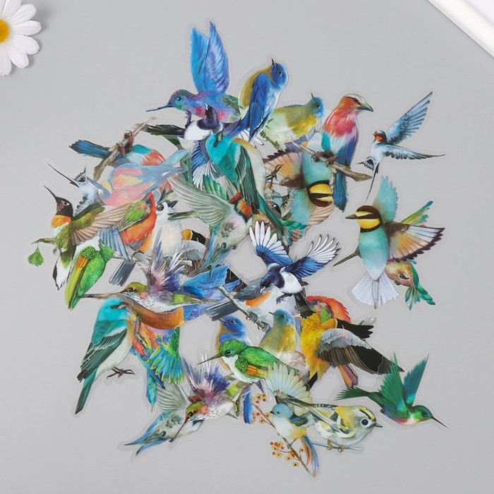 Наклейки для творчества пластик PVC Наклейки для творчества пластик PVC "Красочные птицы" набор 40 шт 9х10.5 см