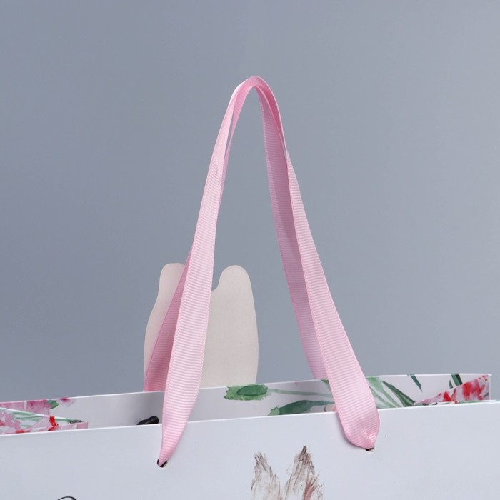 Пакет подарочный, упаковка, «Кролик», 22 х 22 х 10 см Пакет подарочный, упаковка, «Кролик», 22 х 22 х 10 см