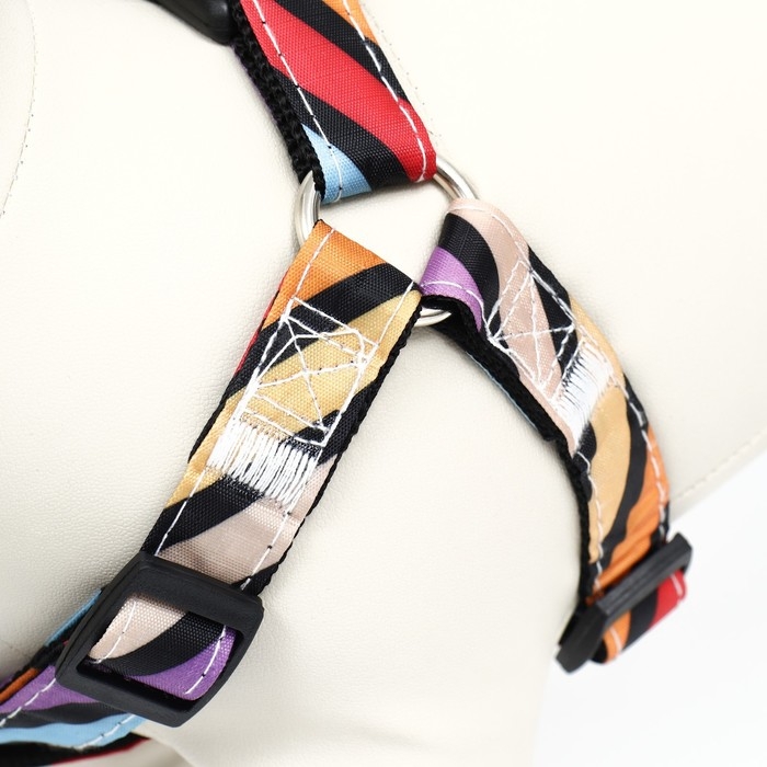 Комплект амуниции двухслойный, размер L, поводок 120 х 2 см, ОШ 31-45 см , ОГ 35-52 см, разноцветный Комплект амуниции двухслойный, размер L, поводок 120 х 2 см, ОШ 31-45 см , ОГ 35-52 см, разноцветный