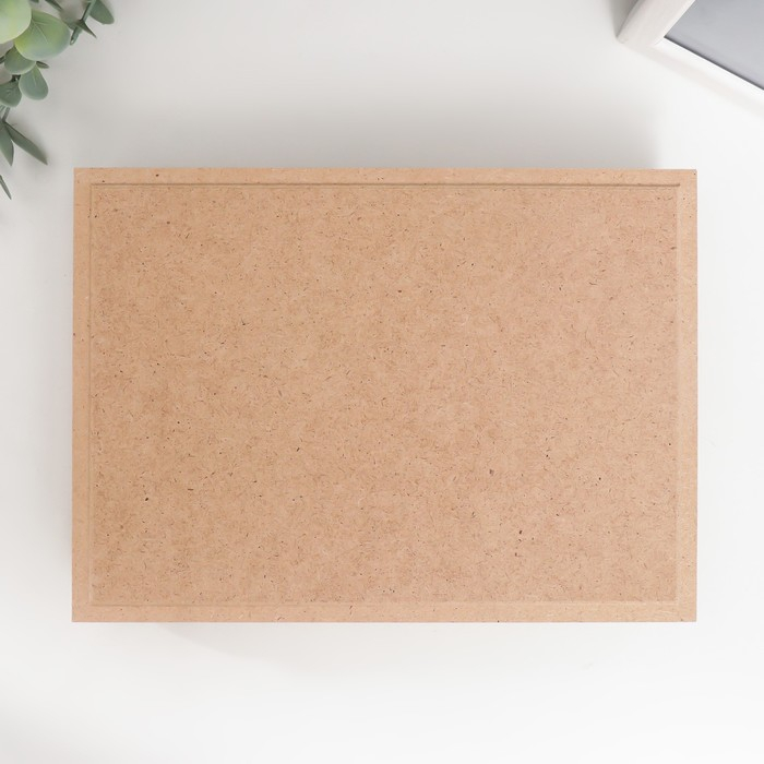 Шкатулка для декора 22х16х4 см Шкатулка для декора 22х16х4 см