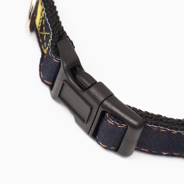 Ошейник Ошейник "Джинс", чёрный подклад, ширина 2 см