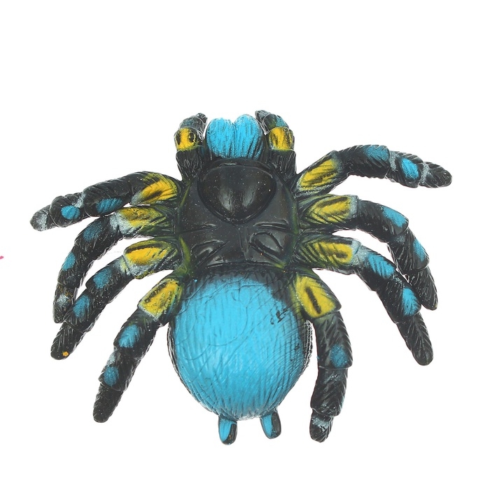 Липучка «Паук» Липучка «Паук»