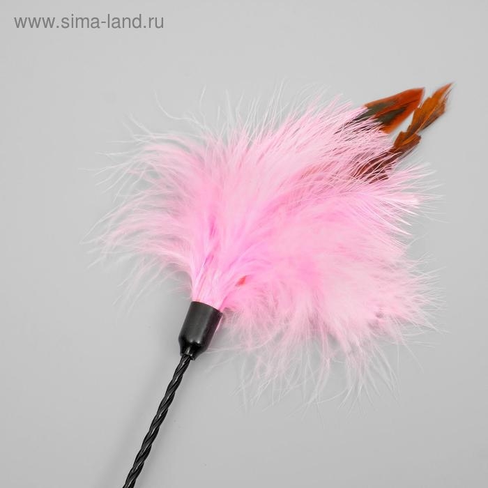 Дразнилка  Дразнилка "Пушок с ушками", двойная ручка жёсткая/гибкая, 50 см, микс цветов