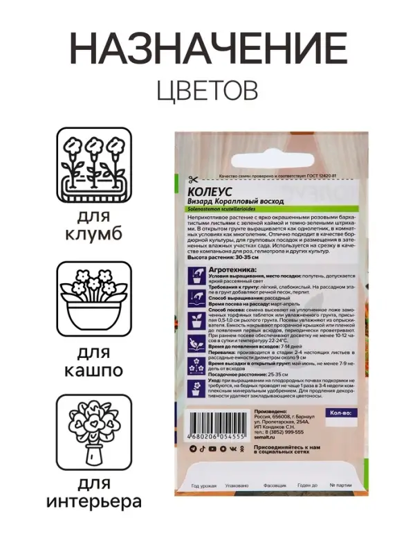 Семена комнатных цветов Колеус &laquo;Коралловый Восход&raquo;, 5 шт., &laquo;Семена Алтая&raquo;