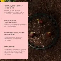 Корзина для посадки луковичных растений, круглая, d=30 см, h=8 см, чёрная
