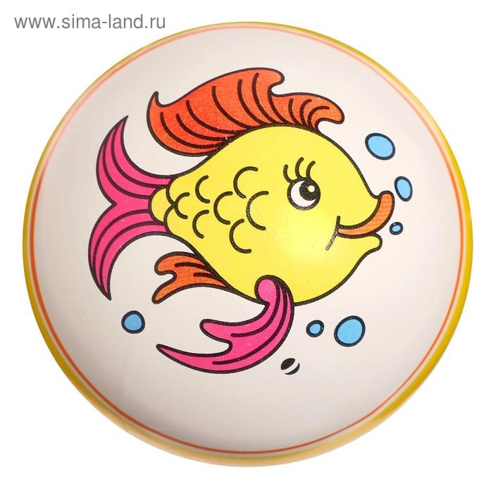 Мяч резиновый, диаметр 100 мм, (рисунок), цвета МИКС Мяч резиновый, диаметр 100 мм, (рисунок), цвета МИКС