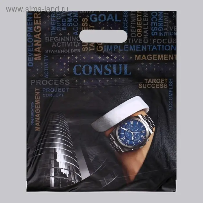 Пакет «Консул» полиэтиленовый с вырубной ручкой, 60 мкм 31×40 см Пакет «Консул» полиэтиленовый с вырубной ручкой, 60 мкм 31×40 см