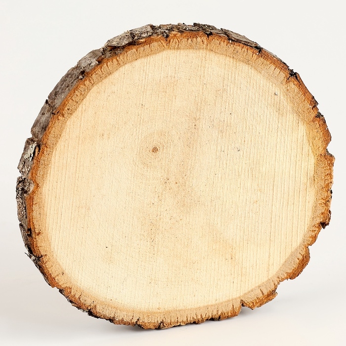 Роспись по дереву на новый год для детей. Рисование на спиле «Снегирь», набор для творчества Роспись по дереву на новый год для детей. Рисование на спиле «Снегирь», набор для творчества