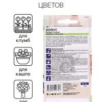 Семена комнатных цветов Колеус &laquo;Визард Скарлет&raquo;, 5 шт., &laquo;Семена Алтая&raquo;