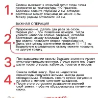 Семена Свёкла "Цилиндра", 2 г