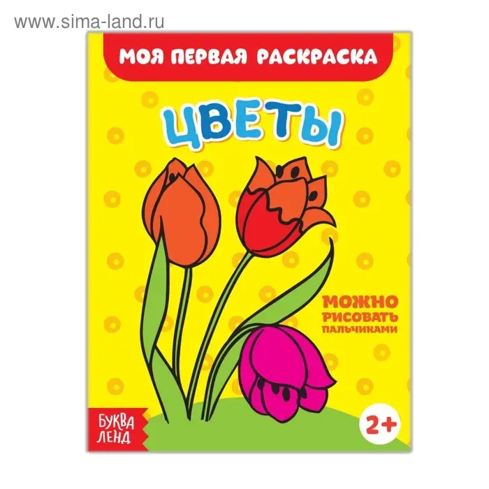 Раскраска &laquo;Цветы&raquo;, 16 стр.
