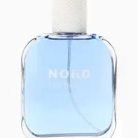 Туалетная вода мужская Free Style Nord Ice Dream, 100 мл