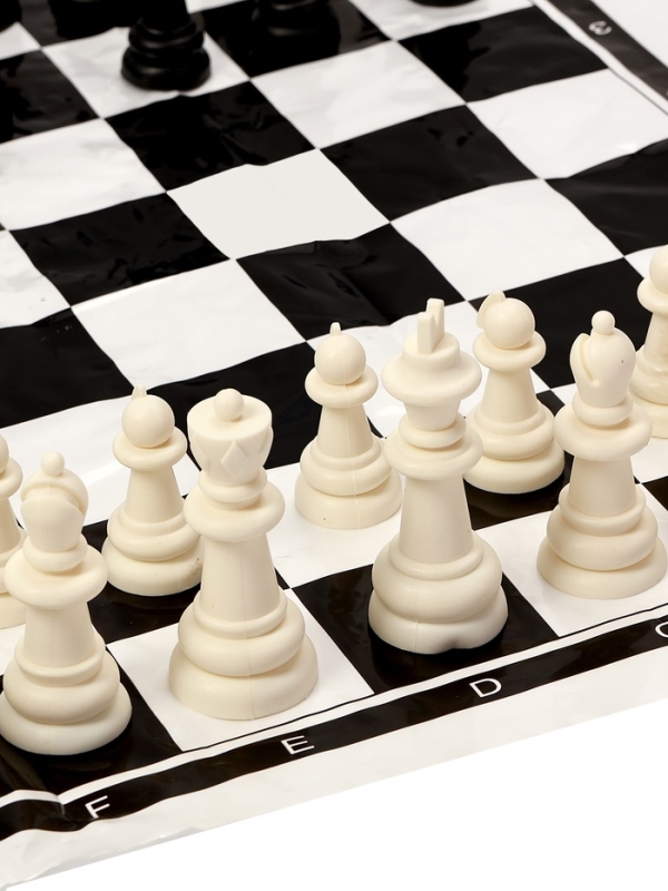 Шахматы 40 х 40 см, король h-5.6 см, d-2.3 см, фигуры пластик Шахматы 40 х 40 см, король h-5.6 см, d-2.3 см, фигуры пластик