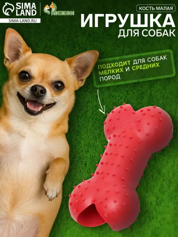 Жевательная игрушка для собак &laquo;Кость малая&raquo;, 8.5 см, TPR, красная