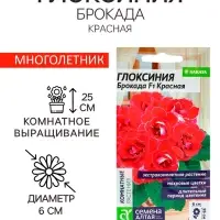 Семена комнатных цветов Глоксиния &laquo;Брокада Красная&raquo;, F1, 5 шт., многолетник, &laquo;Семена Алтая&raquo;