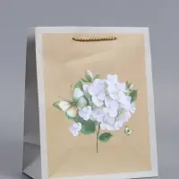 Пакет подарочный "С днём Рождения!! ламинированный 18 х 22,3 х 10 см