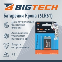 Батарейка BigTech Professional 6LR61/Крона 9V/1604A алкалин. бл/1шт