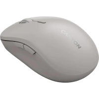 Мышь компьютерная CANYON беспров. MW-12 серый (CNS-CMSW12DG)
