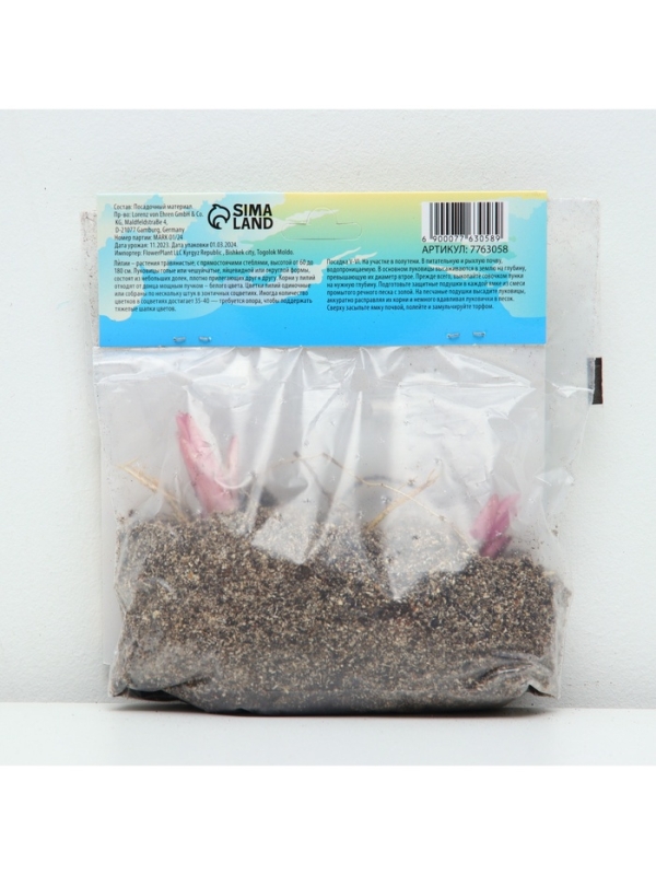 Лилия «Ориентал Диззи», луковица в пакете с перфорацией, р-р 14/16, 2 шт.