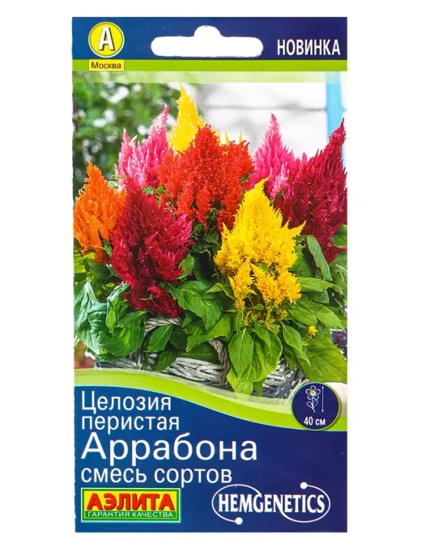 Семена цветов Целозия перистая Аррабона, смесь сортов Спецсерия Hem Genetics, Ц/П,7 шт. Семена цветов Целозия перистая Аррабона, смесь сортов Спецсерия Hem Genetics, Ц/П,7 шт.