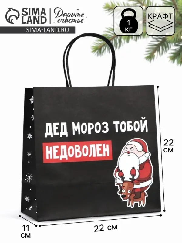 Пакет подарочный новогодний &laquo;Подарок, который ты заслужил&raquo;, 22&times;22&times;11 см