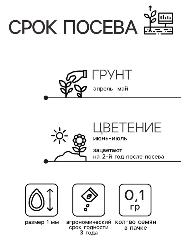 Семена цветов Колокольчик Семена цветов Колокольчик "Карпатский Голубой", 0,1гр.