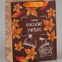 Пакет подарочный ламинированный, упаковка, &laquo;Классному учителю&raquo;, MS 18&times;23&times;10 см