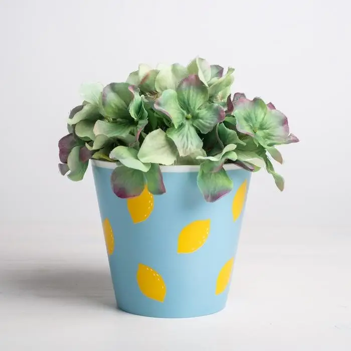 Набор кашпо для цветов 3 в 1 «Фрукты», 0,8 л, 11 х 12 см Набор кашпо для цветов 3 в 1 «Фрукты», 0,8 л, 11 х 12 см