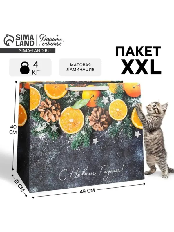 Пакет подарочный новогодний ламинированный &laquo;С Новым годом&raquo;, XL 49&times;40&times;19 см