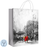 Пакет подарочный (M) Влюбленный в городе, 151802285